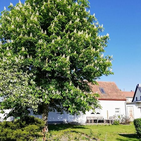 Ferienwohnung Lodig Gross Sarchen Экстерьер фото