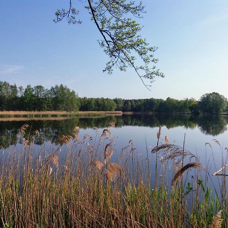 Ferienwohnung Lodig Gross Sarchen Экстерьер фото