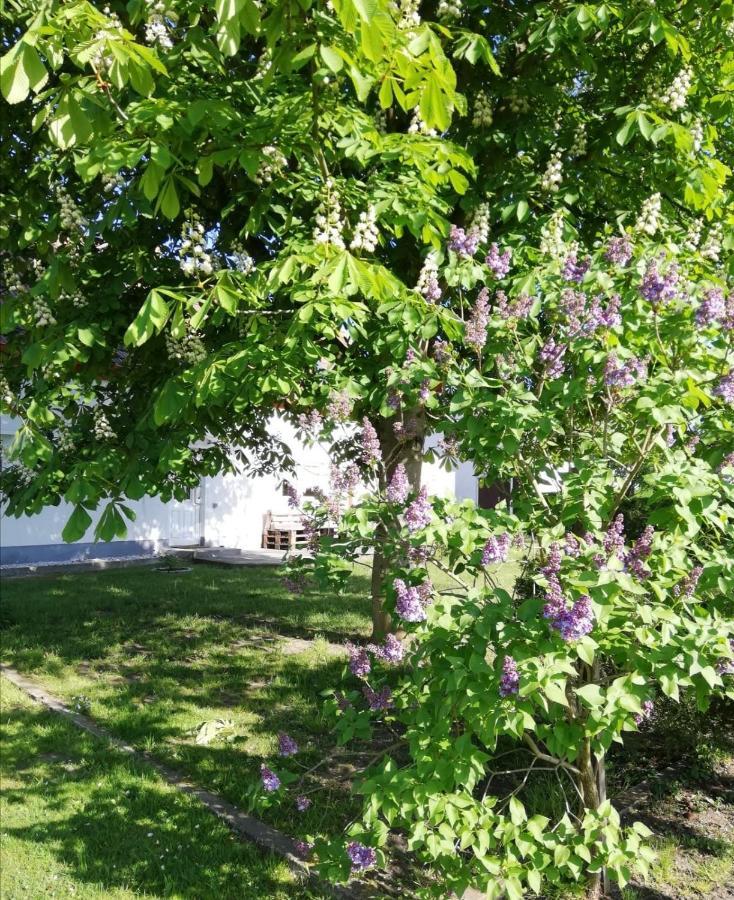 Ferienwohnung Lodig Gross Sarchen Экстерьер фото